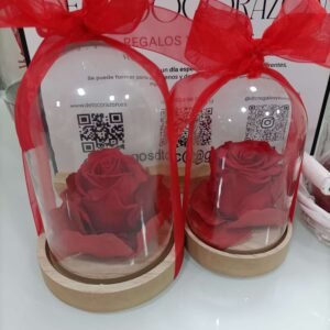 Cúpula con Rosa de chocolate